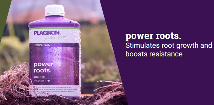 Plagron power roots 100ml | For rooting