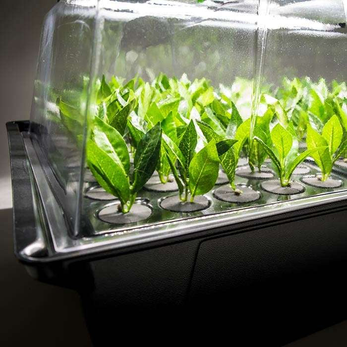 Nutriculture NC Propagator Aero/Hydro X-Stream 40, 60x41xh45