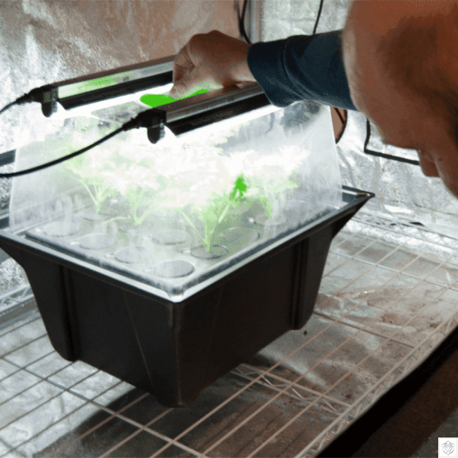 Nutriculture NC Propagator Aero/Hydro X-Stream 40, 60x41xh45
