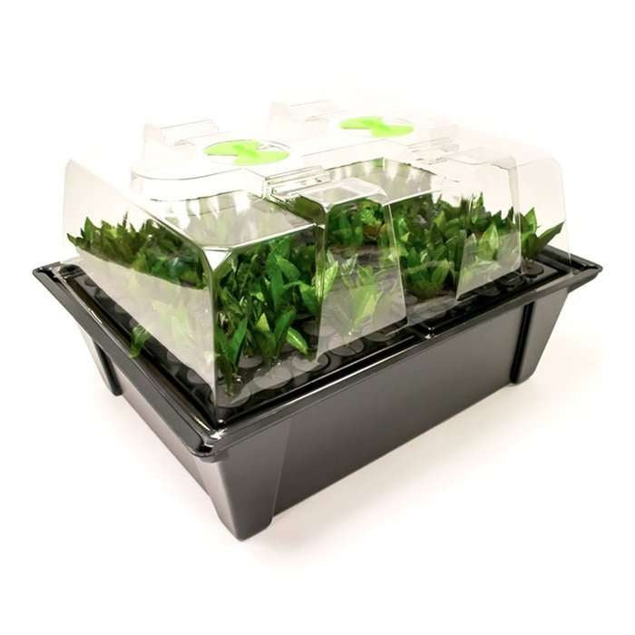 Nutriculture NC Propagator Aero/Hydro X-Stream 40, 60x41xh45
