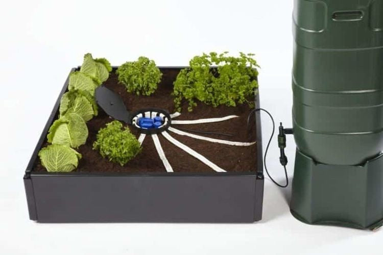 AutoPot AQUAbox Spyder - automatic irrigation system without power requirements