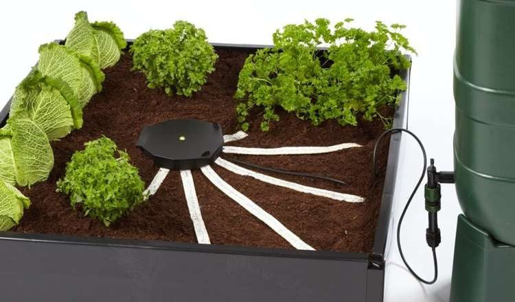 AutoPot AQUAbox Spyder - automatic irrigation system without power requirements
