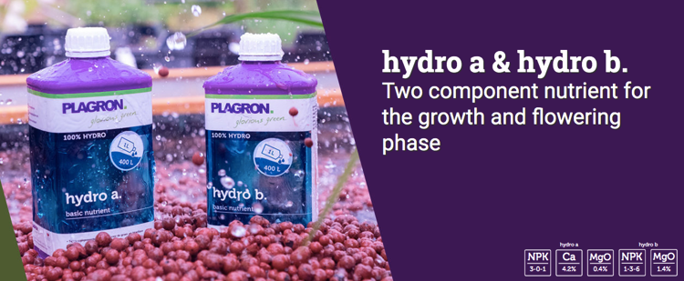 Plagron Hydro A & B 1L - Grow & Bloom Plant Nutrients for Hydroponics