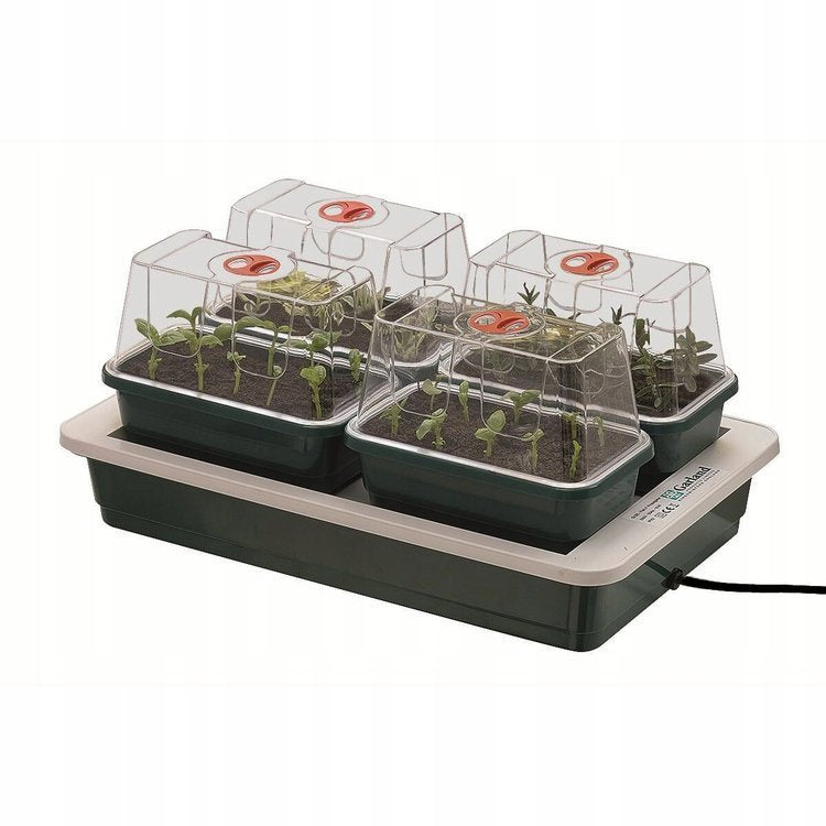 Garland electric propagator with heating - 4 trays Garland FAB4 37 x 22 x h18.5 cm