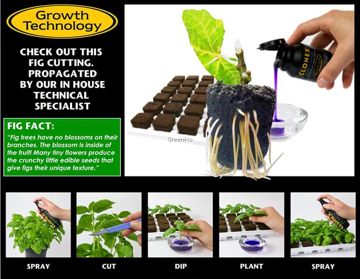 Clonex 50ml - Rooting Propagation Hormone Gel | Growth Technology