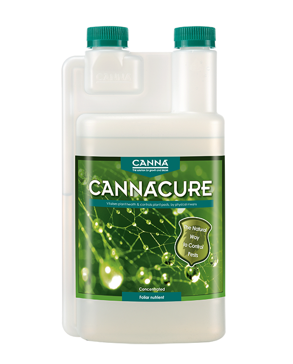 Canna Cure 1L - Concentrate Growth and Flowering Stimulation | pest protection