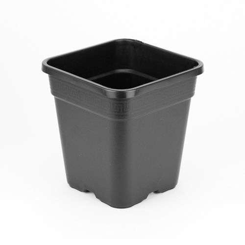 WILMA SMALL WIDE hydroponic system 10 x 6L - 120x60xh20cm