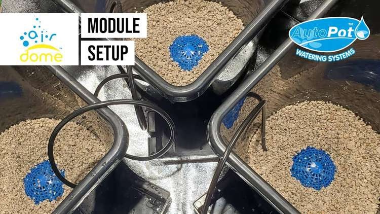 AutoPot Airdome kit - complete set AIRDOME/1