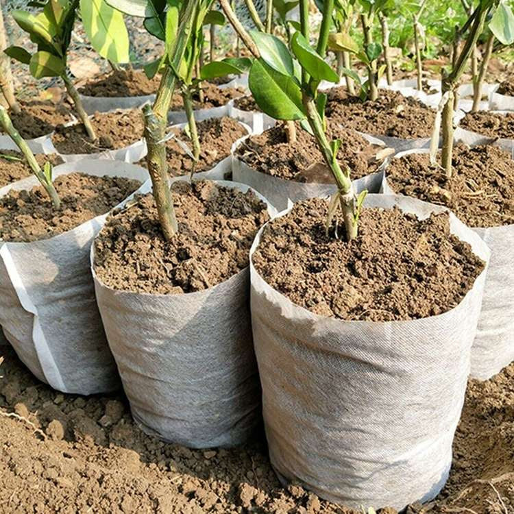 White Grow Bag 8 x 20 cm 50 pcs 1L