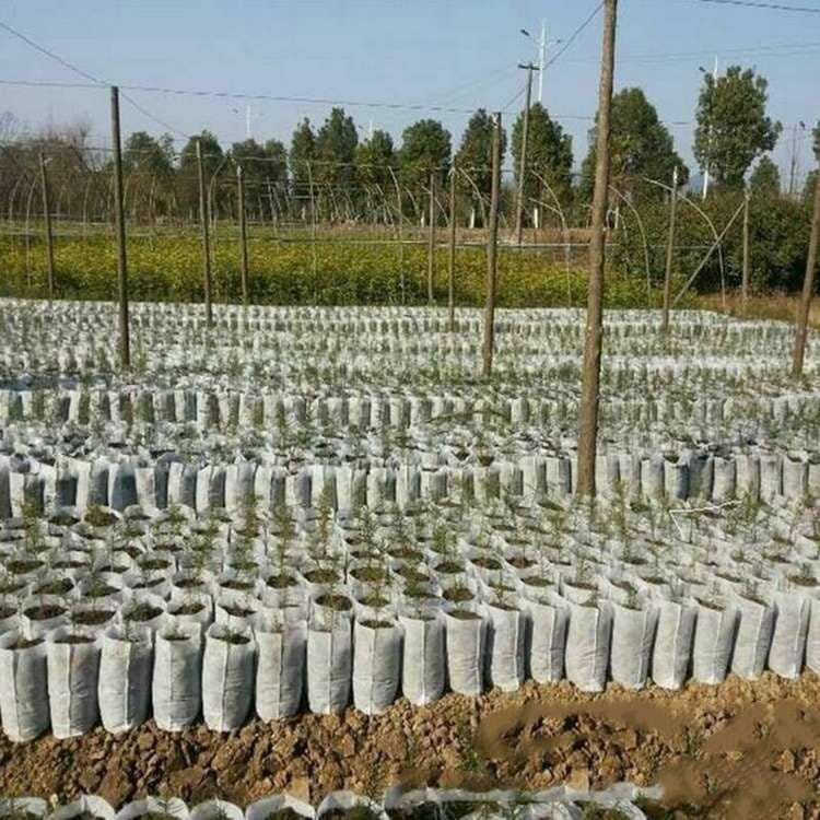 White Grow Bag 8 x 20 cm 50 pcs 1L