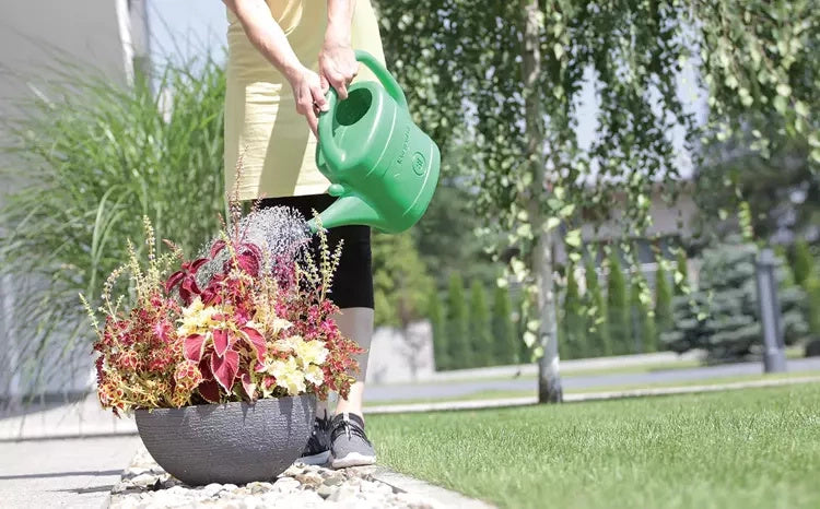 Watering can 5L Spring green color