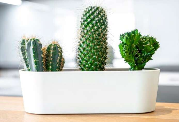Leni white pot 27 cm x 10 x 8 cm for window sill
