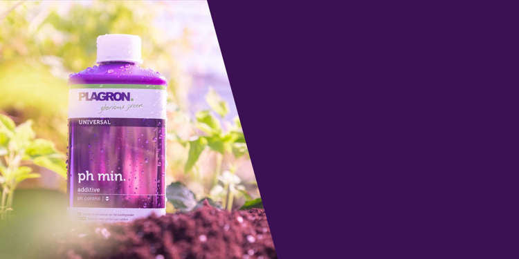 Plagron ph minus 500ml | For lowering ph