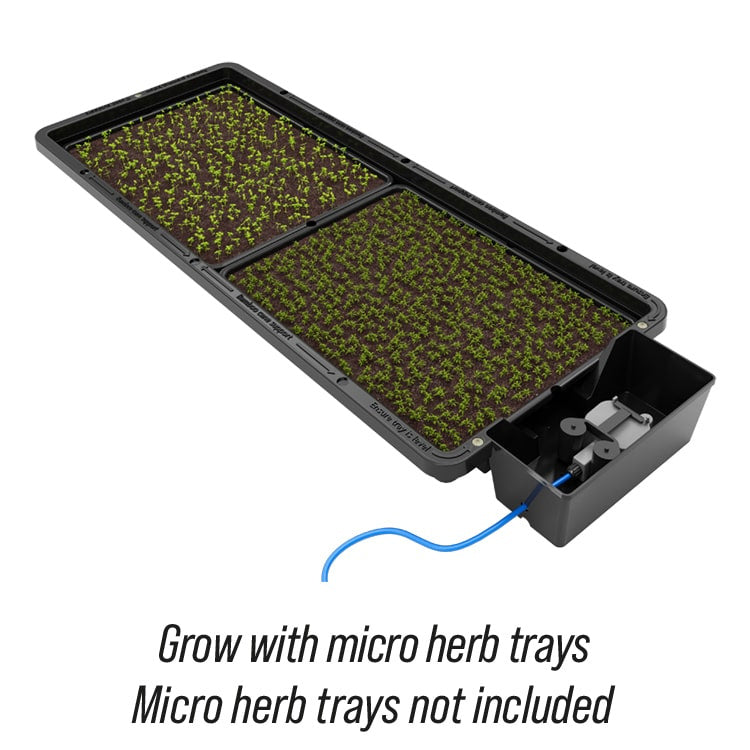 Autopot Tray2Grow system nawadniania - one tray, five uses