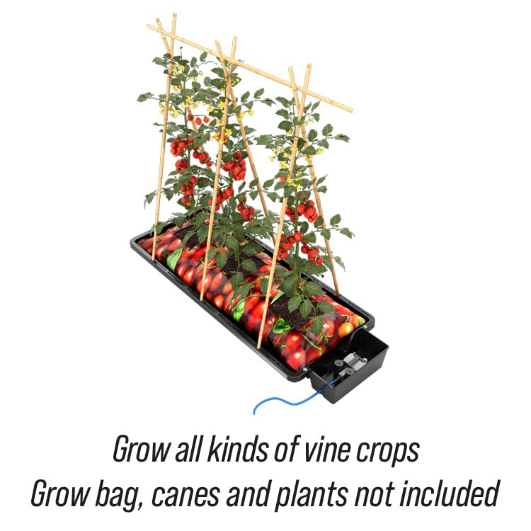 Autopot Tray2Grow system nawadniania - one tray, five uses