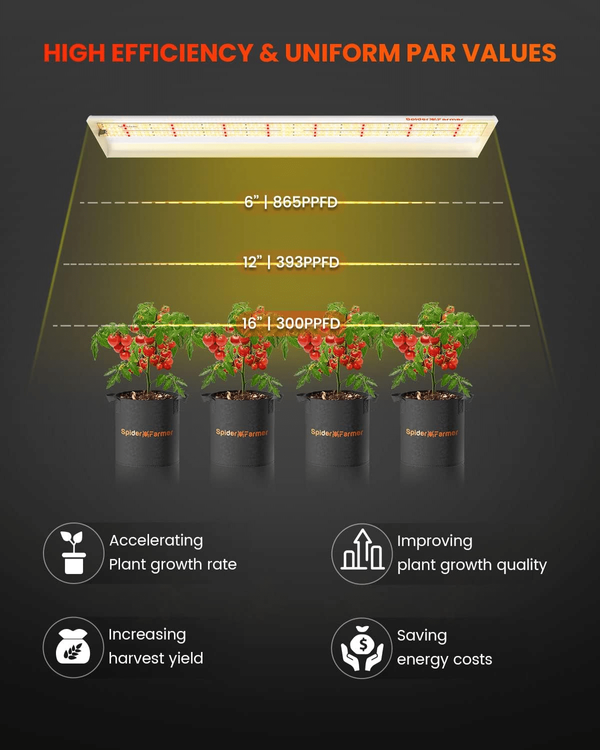 Spider farmer SF300 33W Full Spectrum 60cm Osram - for clones & seedlings