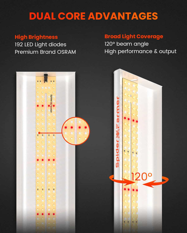 Spider farmer SF300 33W Full Spectrum 60cm Osram - for clones & seedlings