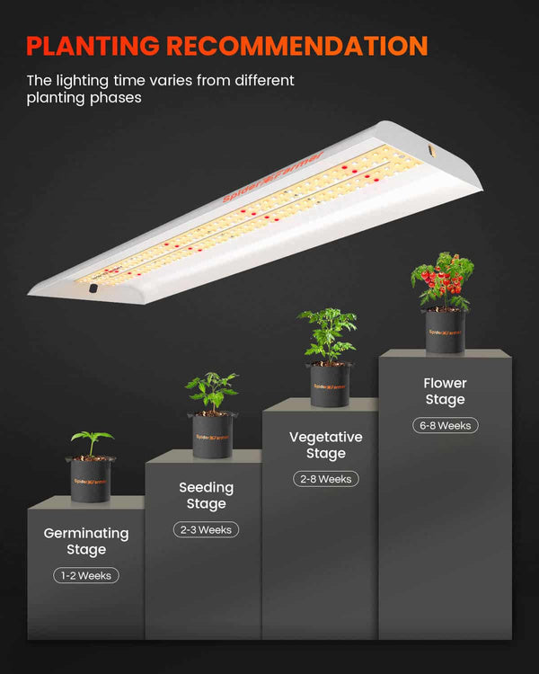 Spider farmer SF300 33W Full Spectrum 60cm Osram - for clones & seedlings