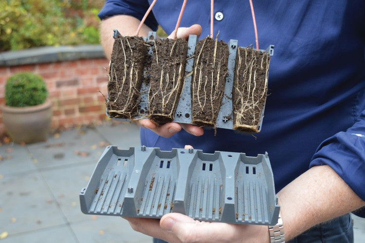Garland 28 Cell Deep Root Plant Cells for seedlings | 4x4x12cm per 1 cell