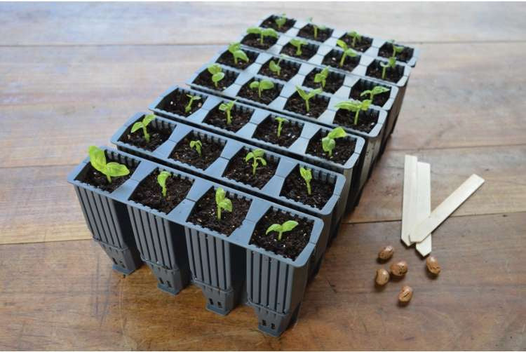 Garland 28 Cell Deep Root Plant Cells for seedlings | 4x4x12cm per 1 cell