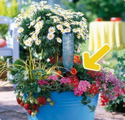Blumat Automatic watering machine for potted flowers XL, set of 2 pcs.