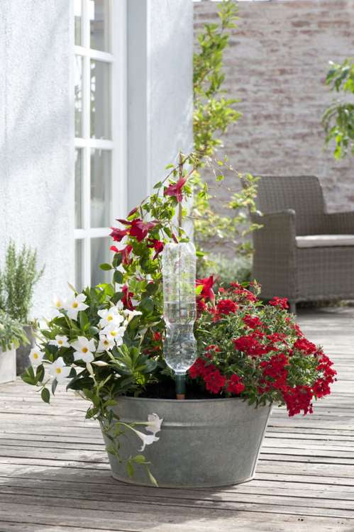 Blumat Automatic watering pots for potted flowers, 3 pcs.