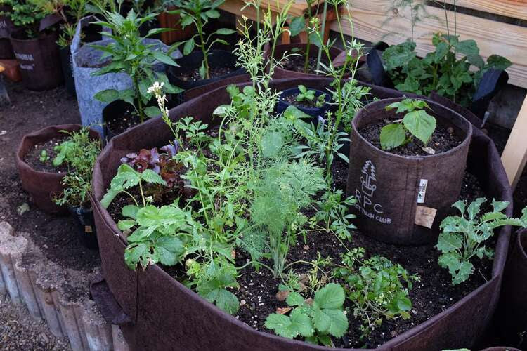 Growbag Root Pouch fabric pot 21x21cm 8L brown