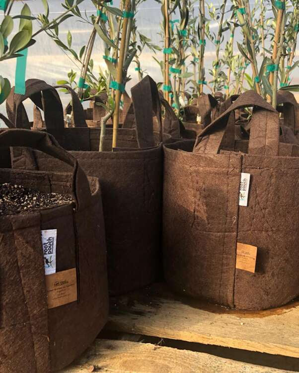 Growbag Root Pouch fabric pot 21x21cm 8L brown