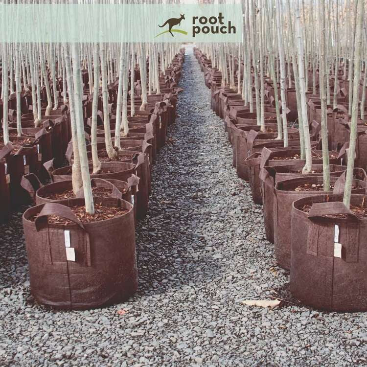 Growbag Root Pouch fabric pot 21x21cm 8L brown