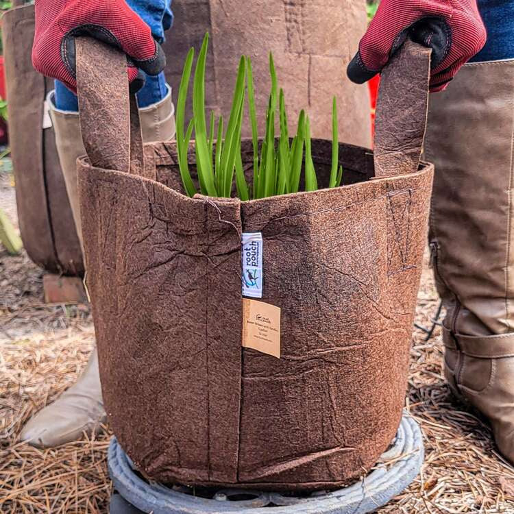Growbag Root Pouch fabric pot 21x21cm 8L brown
