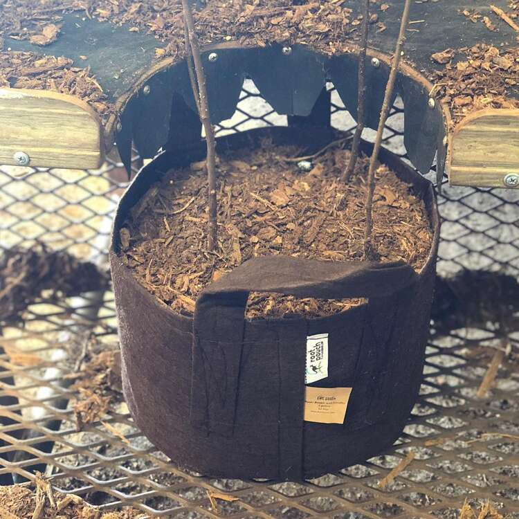 Growbag Root Pouch fabric pot 21x21cm 8L brown