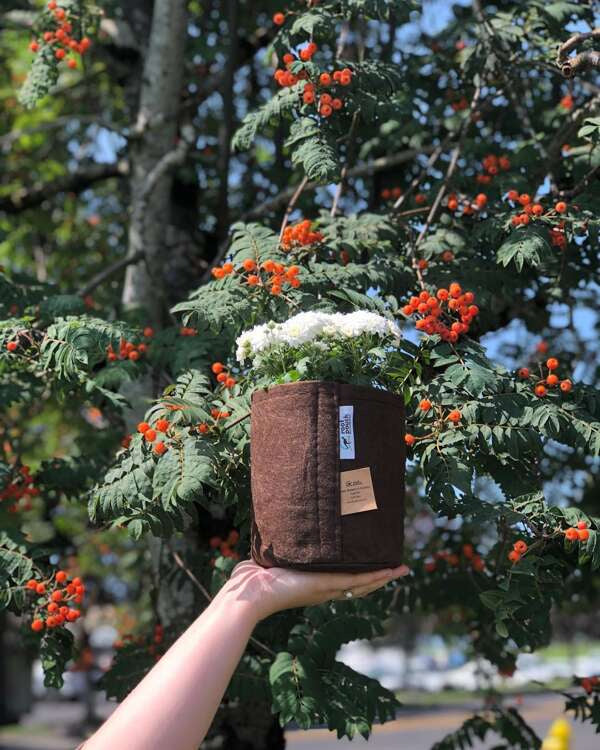 Growbag Root Pouch fabric pot 21x21cm 8L brown