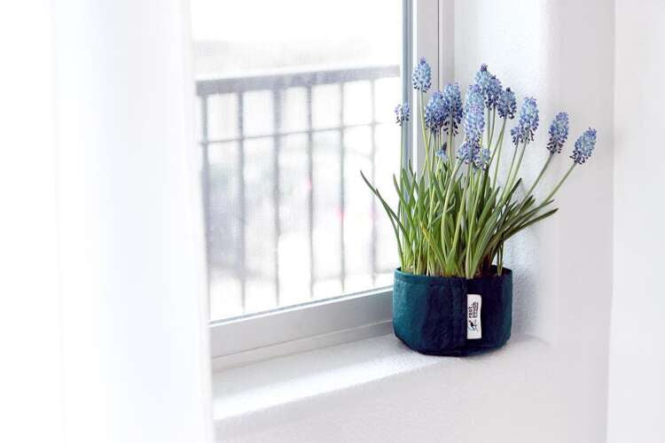 Growbag Root Pouch fabric pot 25,5x21,5cm 12L green
