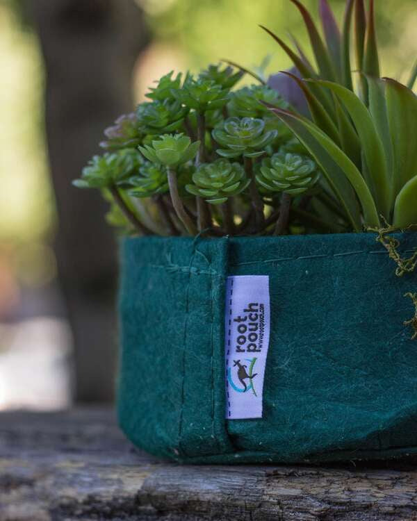 Growbag Root Pouch fabric pot 25,5x21,5cm 12L green