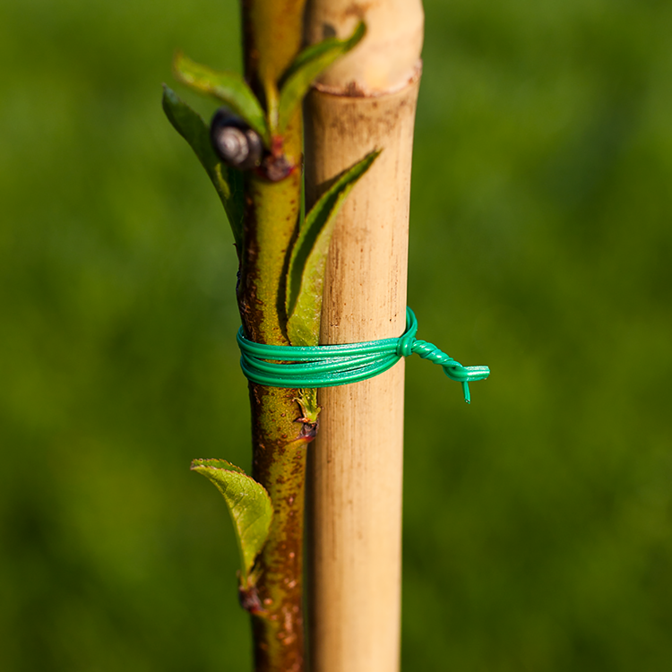Horticultural wire 30m Biogarden
