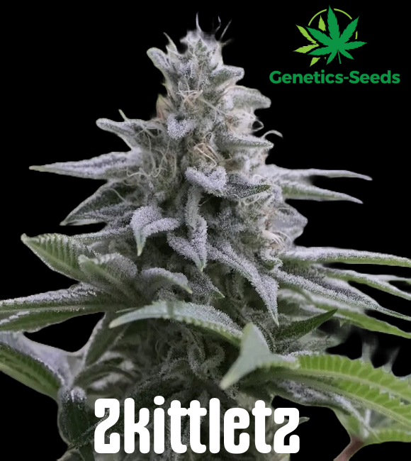 Zkittlez