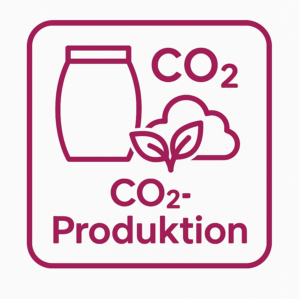 CO₂-Produktion