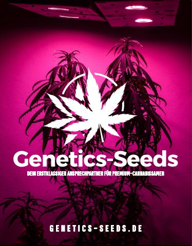Genetics-Seeds