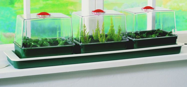 Garland electric propagator with heating TRIPLE TOP - 3 ventilated greenhouses 76x18,5x20,5cm