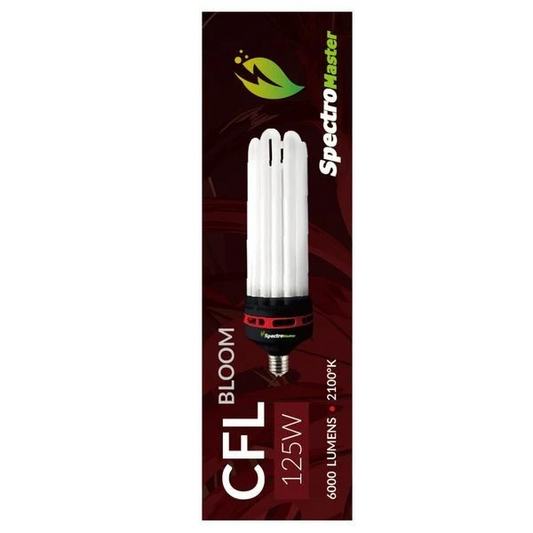 Spectromaster CFL 125W E40 – 2100K | Blütephase