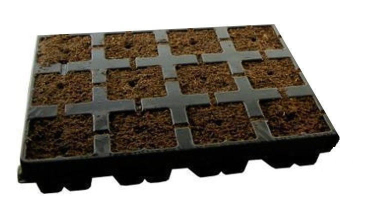 Eazy Plug SeedIng Tray 12 pieces