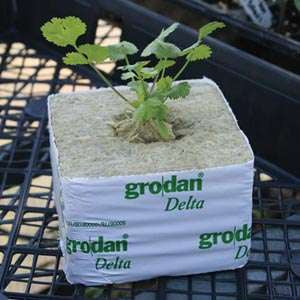 Mineral wool cube 10x10x6.5 cm Grodan with hole 27mm