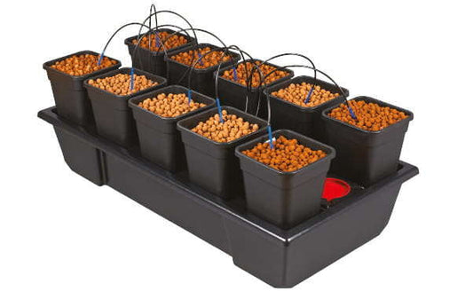 WILMA SMALL WIDE hydroponic system 10 x 6L - 120x60xh20cm