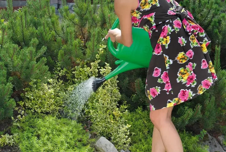 Watering can 5L Spring green color