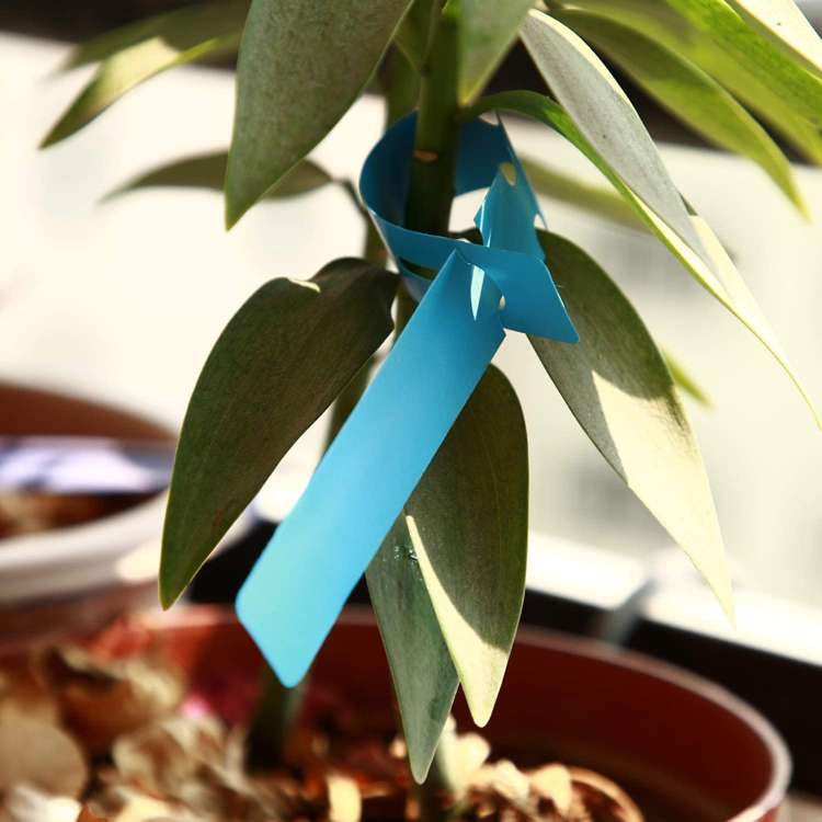 Herbgarden Plant Wrap Tags 2x21cm 100pcs | Blue Plastic Tree Labels