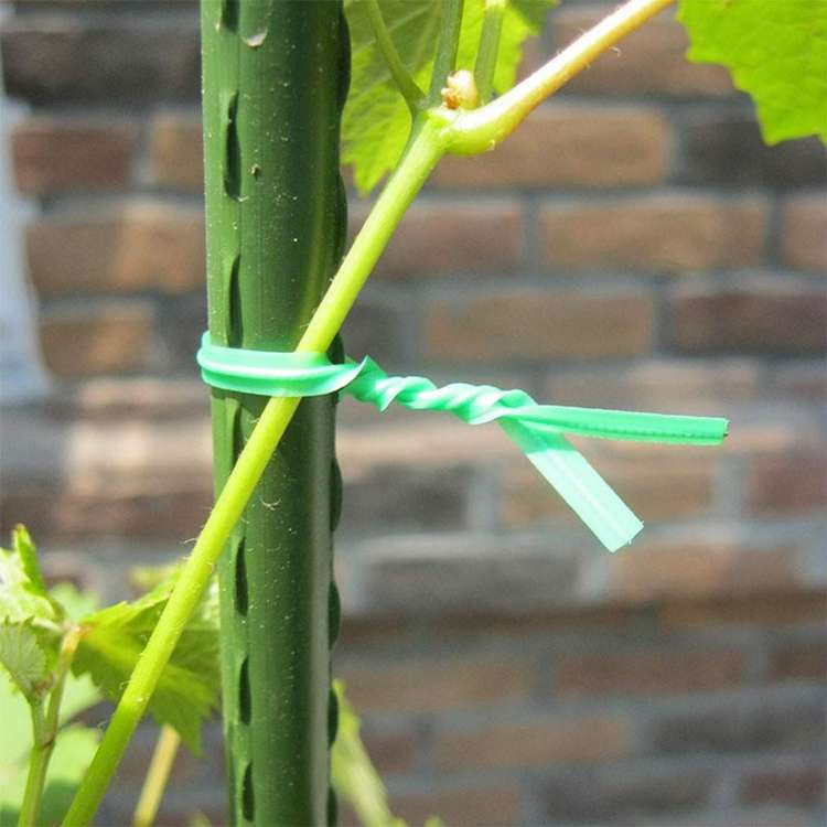 Herbgarden Garden Tie Straight - pre-cut garden wire 25cm 100pcs