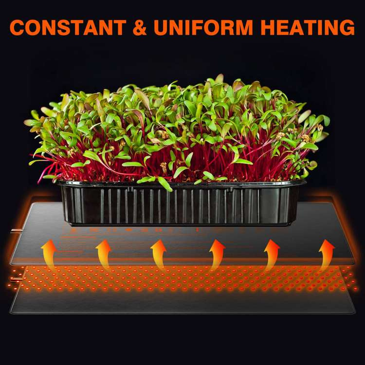 Spider Farmer Heating Mat 52 x 25cm for Seedling & Germination 20W