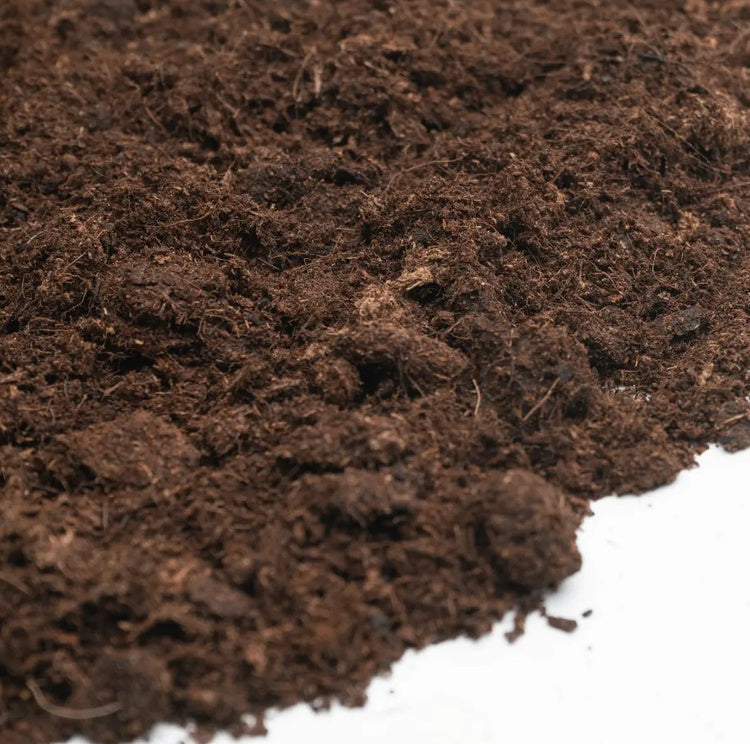 Canna Bio Terra Plus soil 25L