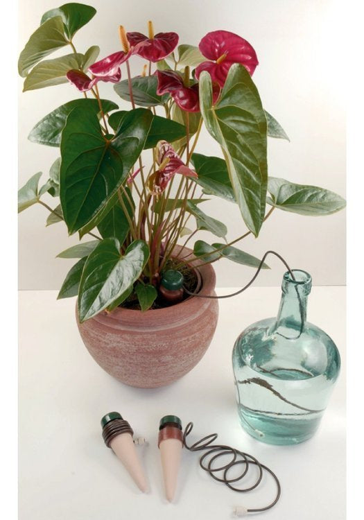 Blumat Classic for house plants 3 pcs. - automatic watering of indoor plants