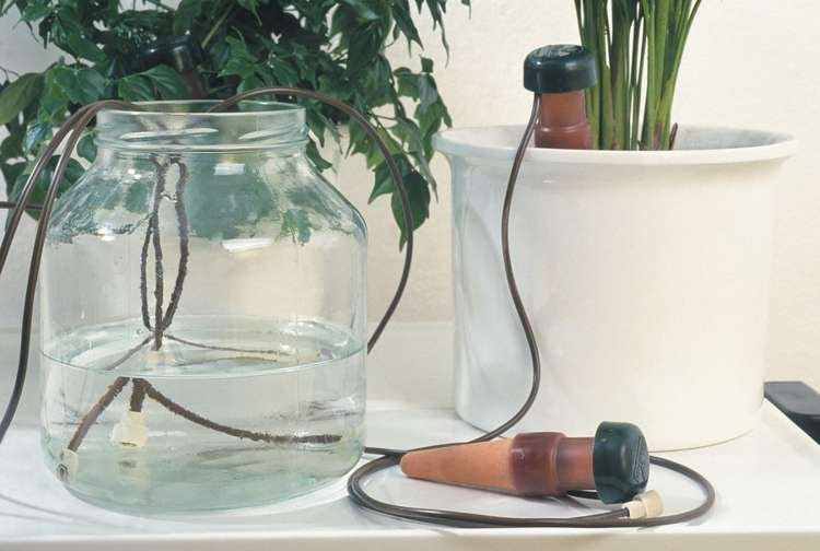 Blumat Classic for house plants 3 pcs. - automatic watering of indoor plants